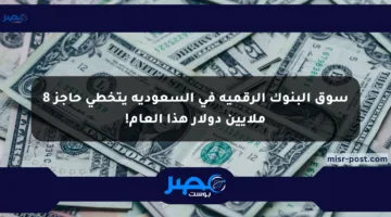 سوق البنوك الرقمية في السعودية يتخطى حاجز 8 ملايين دولار هذا العام!